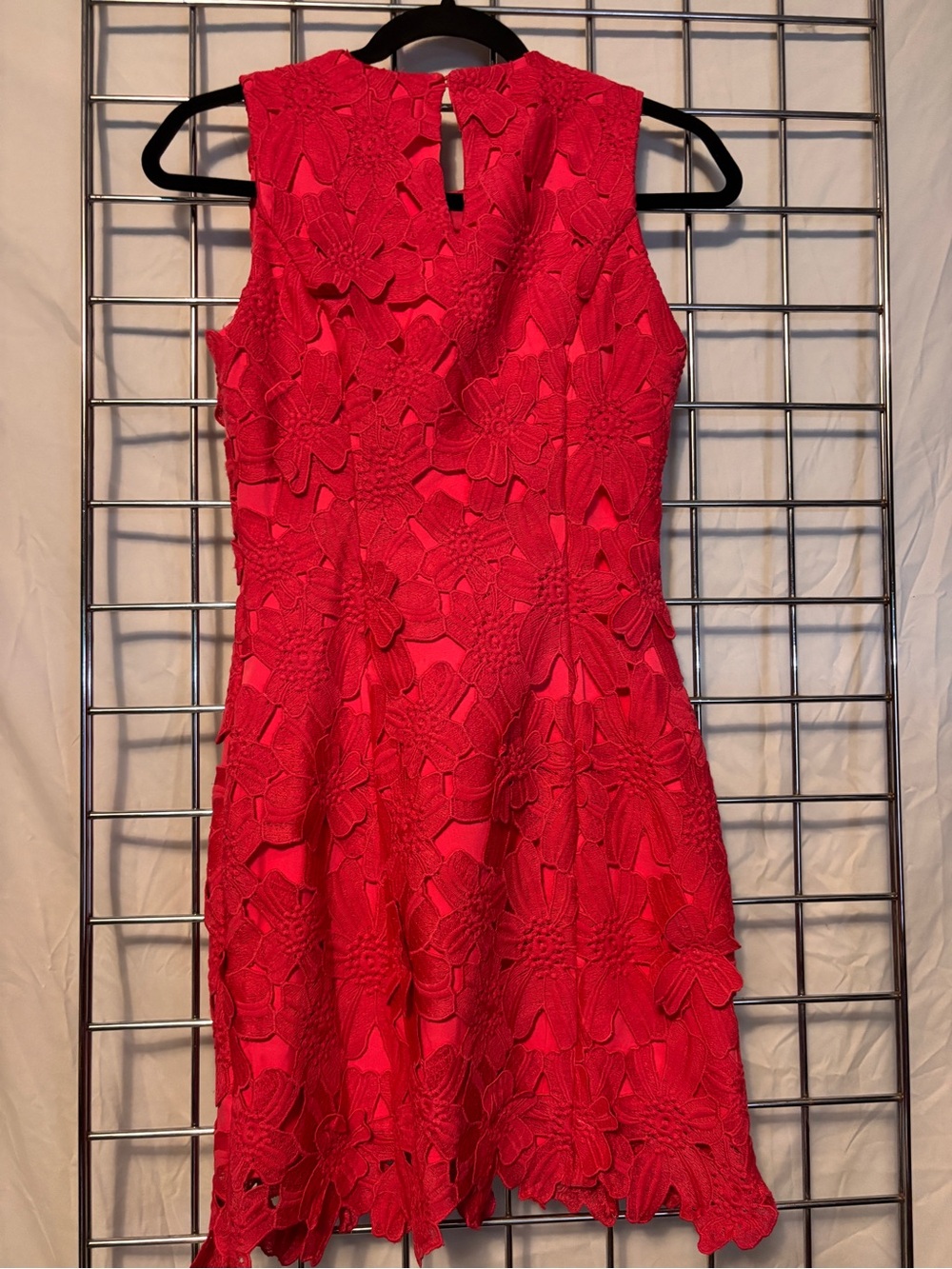 Endless Rose Red Floral Lace Mini Dress